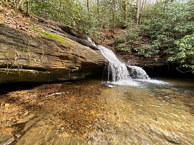 Nature therapy